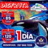 seaworld 1 dia