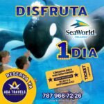 SeaWorld Orlando 1 día